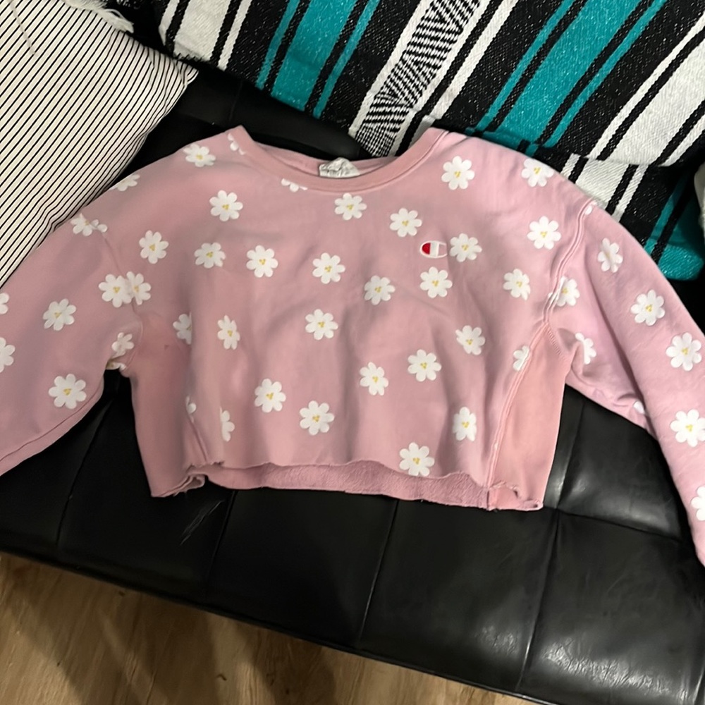Cropped champion sweater